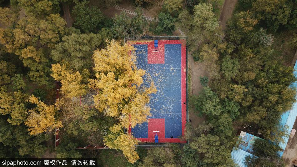 开·云APP登录客戶端